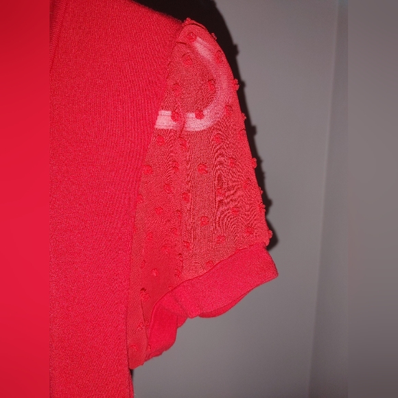 Top with pretty sheer Swiss dot sleeves - Picture 4 of 5